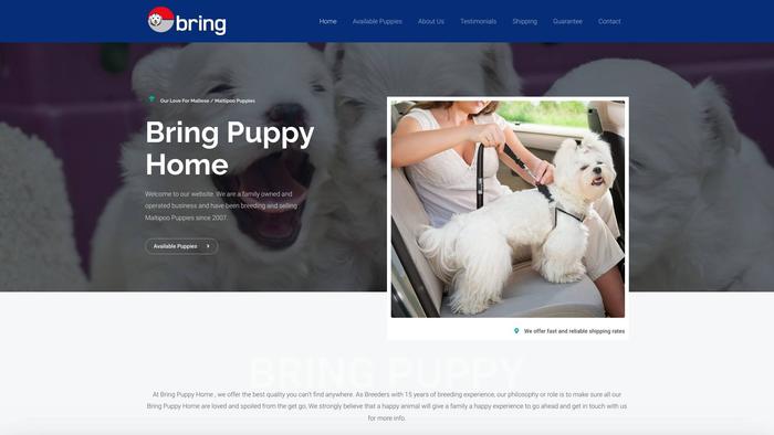 Bringpuppyhome.com - Pug Puppy Scam Review