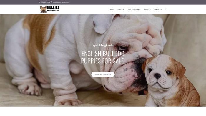 Bulliesforfamilies.com - French Bulldog Puppy Scam Review