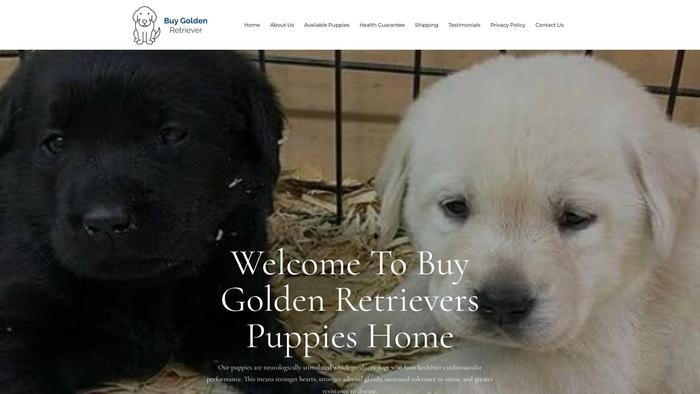 Buygoldenretriever.com - Golden Retriever Puppy Scam Review