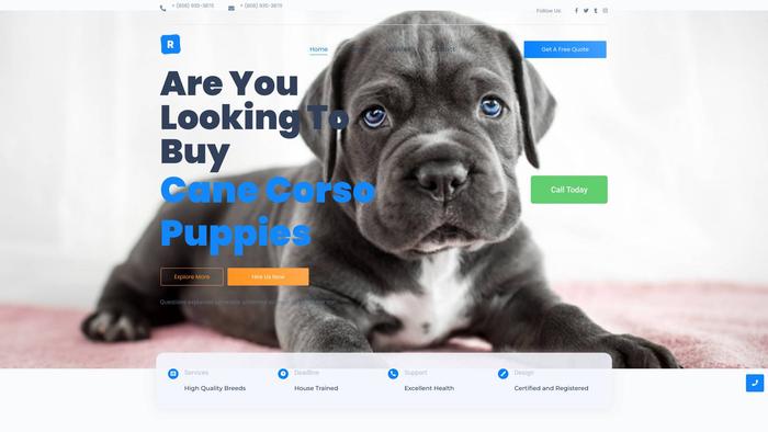 Canecorsoempire.com - Cane Corso Puppy Scam Review