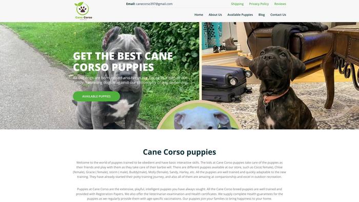 Canecorsopuppyforsale.com - Cane Corso Puppy Scam Review