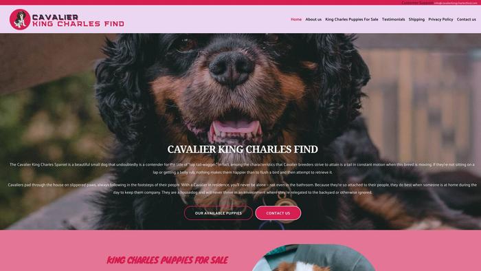 Cavalierkingcharlesfind.com - Cavalier King Charles Spaniel Puppy Scam Review