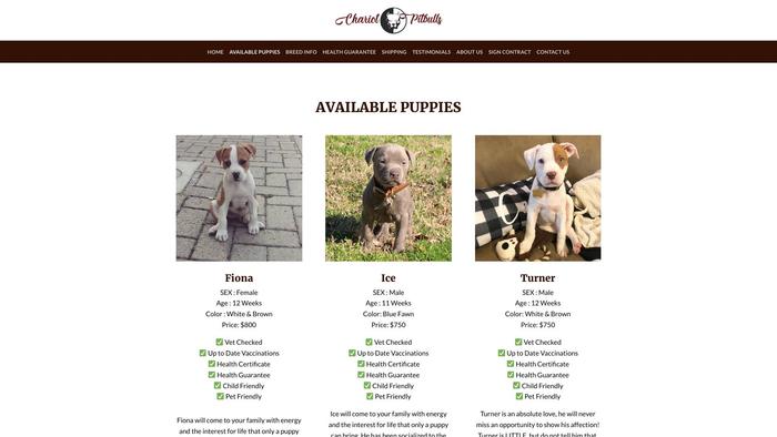 Chariotpitbullpups.com - Pit Bull Puppy Scam Review