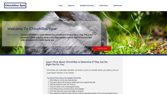 Chinchillasspot.com - Chihuahua Puppy Scam Review