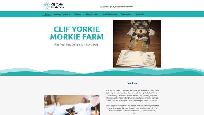 Clifyorkiemorkiefarm.com - Yorkshire Terrier Puppy Scam Review