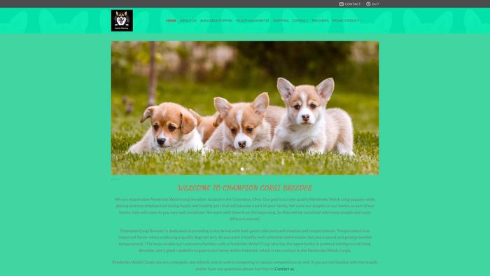 Corgidogsforsale.com - Corgi Puppy Scam Review