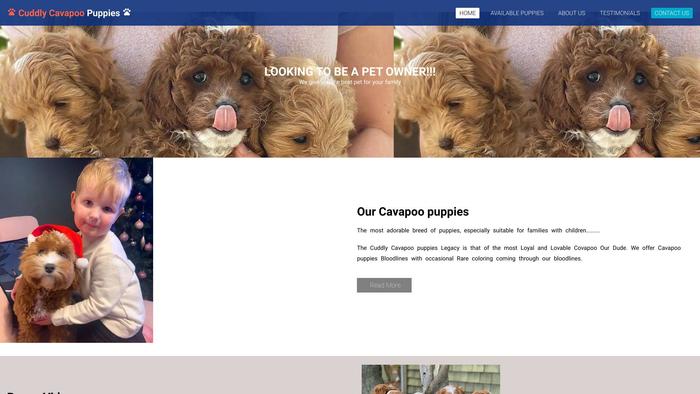 Cuddlycavapoopups.com - Cavapoo Puppy Scam Review