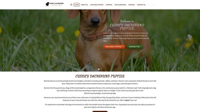 Cuddlydachshundpuppies.com - Dachshund Puppy Scam Review