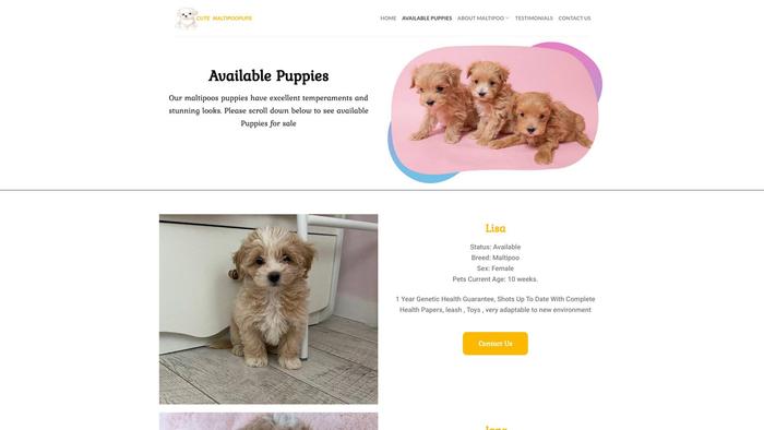 Cutemaltipoopups.com - Maltipoo Puppy Scam Review