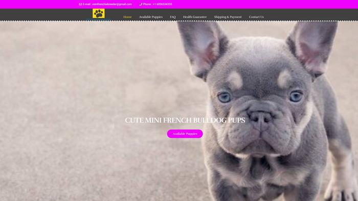 Cutestminifrenchbulldogpups.com - French Bulldog Puppy Scam Review