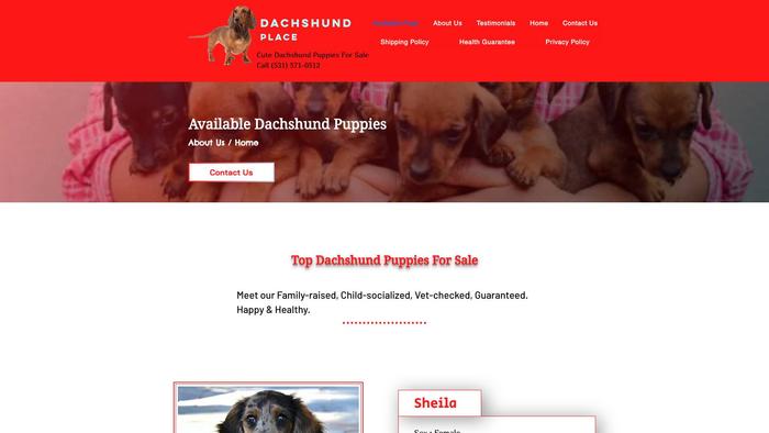 Dachshundplace.com - Dachshund Puppy Scam Review