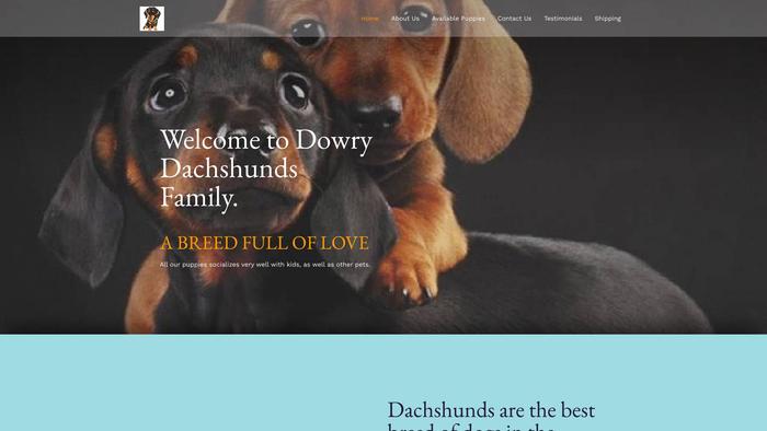 Dachshundsmiles.com - Dachshund Puppy Scam Review