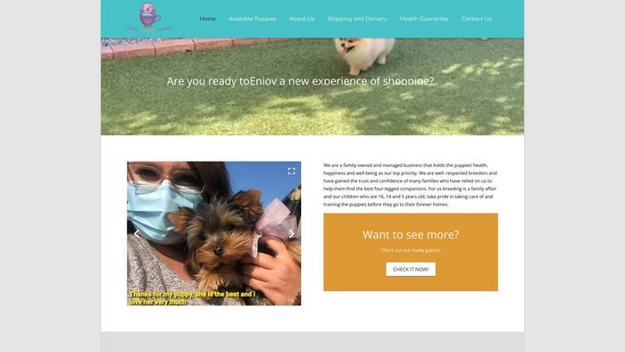 Dailyteacuppuppies.com - Yorkshire Terrier Puppy Scam Review