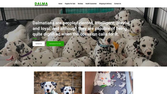 Dalmadalmatianpupshome.com - Labrador Puppy Scam Review