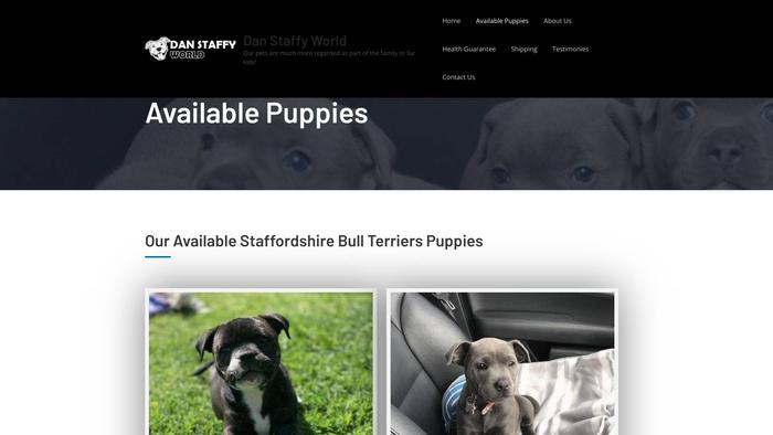 Danstaffyworld.com - Terrier Puppy Scam Review