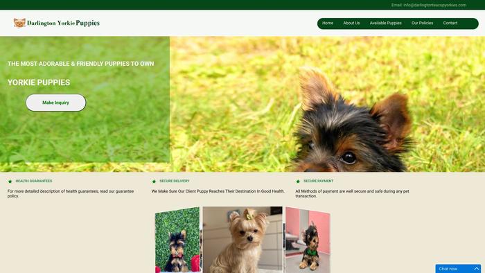 Darlingtonteacupyorkies.com - Yorkshire Terrier Puppy Scam Review