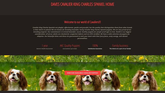 Davescavalierkingcharleshome.com - Cavalier King Charles Spaniel Puppy Scam Review