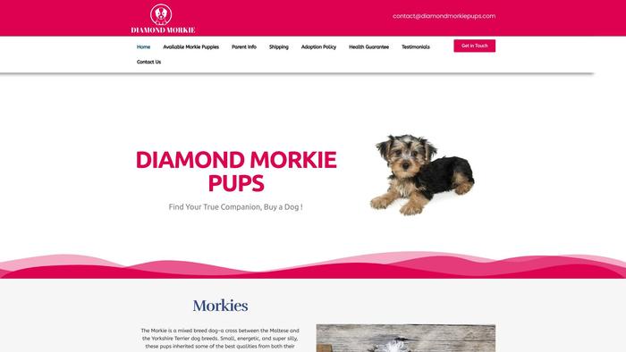 Diamondmorkiepups.com - Yorkshire Terrier Puppy Scam Review