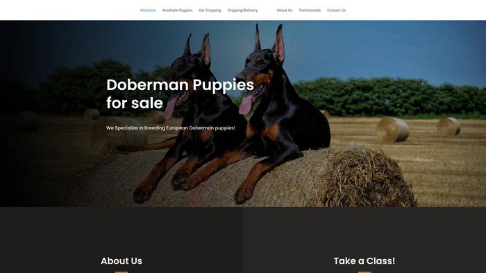 Dobermanpuppiesforsale.store - Doberman Pinscher Puppy Scam Review