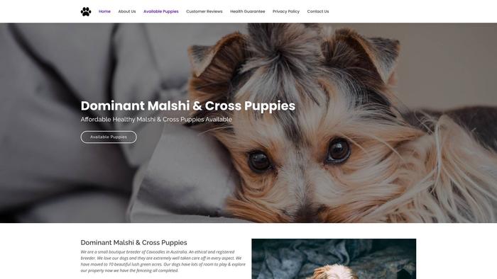 Dominantmalshiandcross.com - Maltese Puppy Scam Review