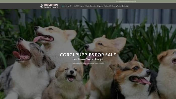 Dominioncorgishome.com - Corgi Puppy Scam Review