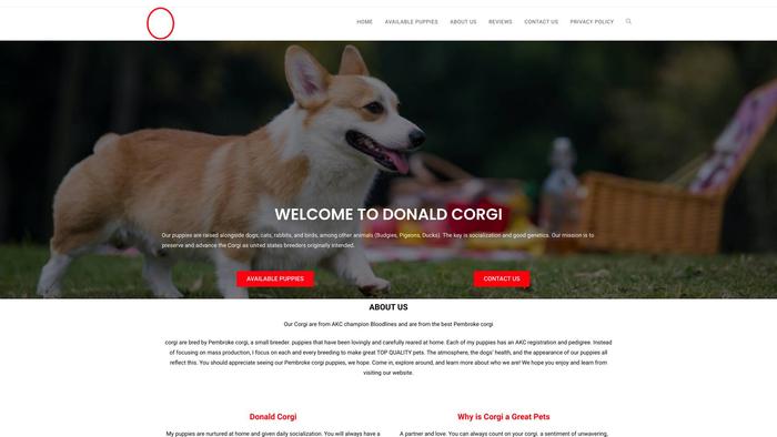 Donaldcorgi.com - Corgi Puppy Scam Review