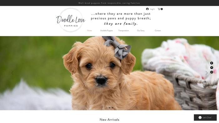 Doodlelovepuppies.com - Labradoodle Puppy Scam Review