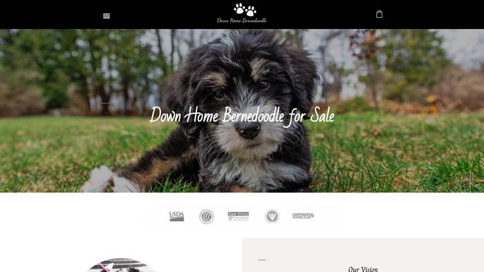 Downhomebernedoodlesforsale.com - Bernedoodle Puppy Scam Review