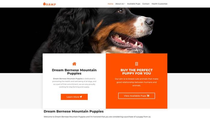 Dreambernesemountainpuppies.com - Bernese Mountain Dog Puppy Scam Review