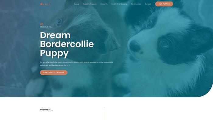 Dreambordercolliepuppy.com - Bordercollie Puppy Scam Review