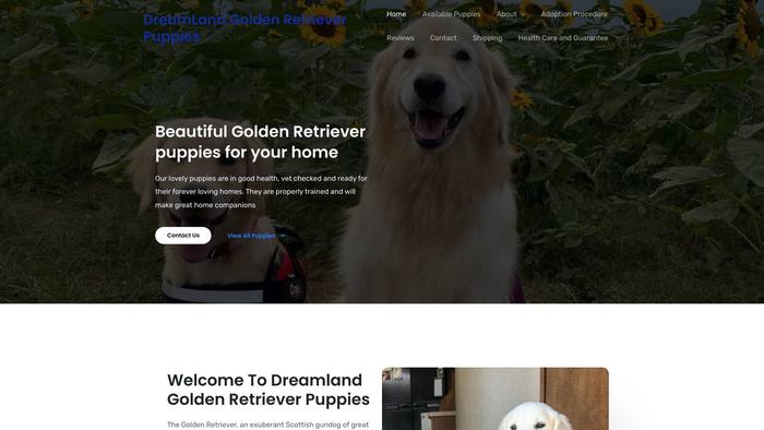 Dreamlandgoldenretrieverpuppies.com - Golden Retriever Puppy Scam Review