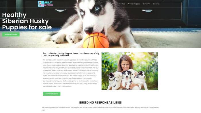 Dreamlandhuskypuppieshome.store - Husky Puppy Scam Review