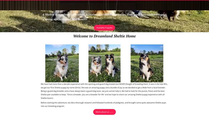 Dreamlandsheltie.store - Sheltie Puppy Scam Review