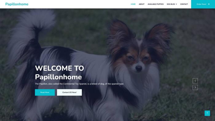 Duxpapillonsforhome.com - Papillon Puppy Scam Review