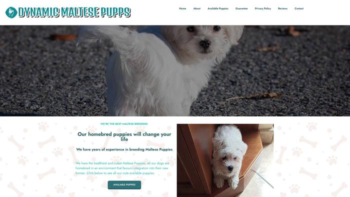 Dynamicmaltesepupps.com - Maltese Puppy Scam Review