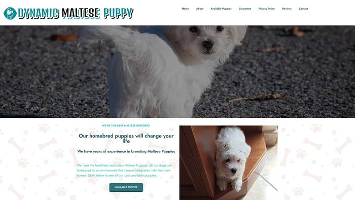 Dynamicmaltesepuppy.com - Maltese Puppy Scam Review