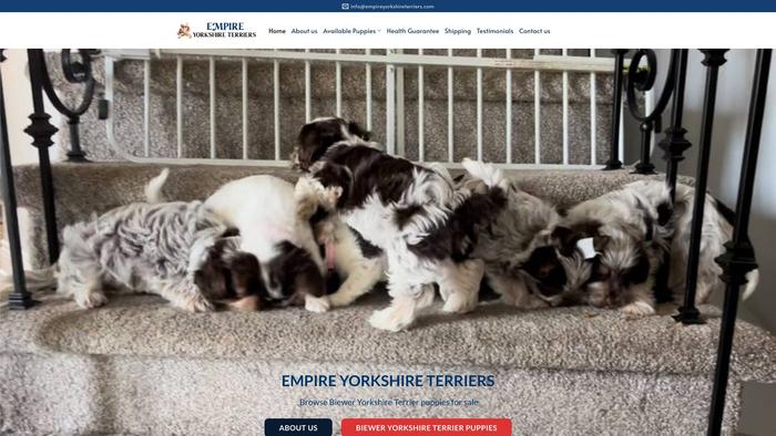 Empireyorkshireterriers.com - Terrier Puppy Scam Review