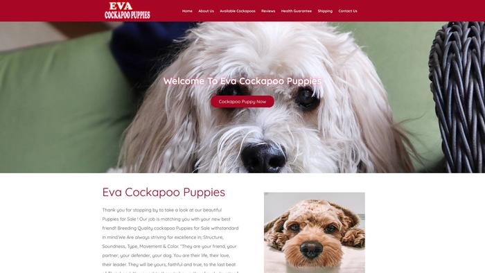 Evacockapoopuppies.com - Cockapoo Puppy Scam Review