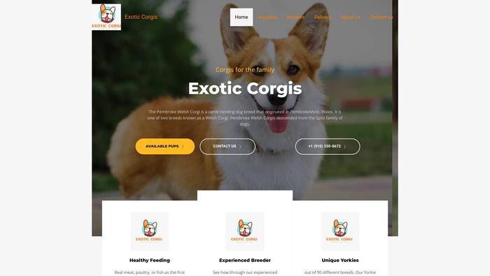 Exoticcorgis.site - Corgi Puppy Scam Review