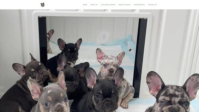 Familyfrenchpups.com - French Bulldog Puppy Scam Review