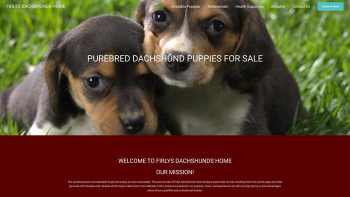 Firlysdachshundshome.com - Dachshund Puppy Scam Review