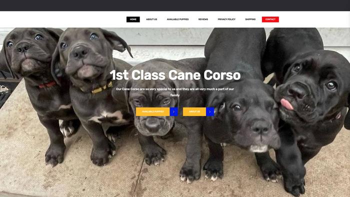 Firstclasscanecorso.com - Cane Corso Puppy Scam Review