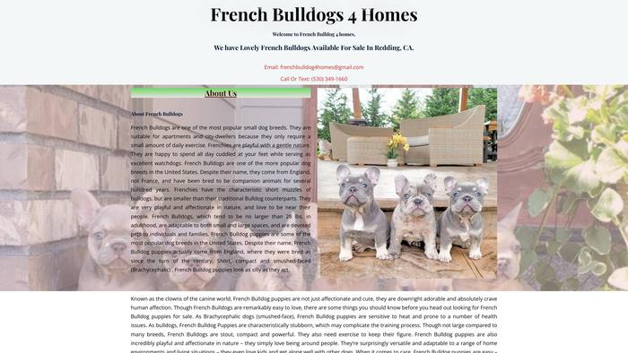 Frenchbulldog4homes.com - French Bulldog Puppy Scam Review