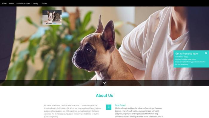 Frenchiesinusa.site - French Bulldog Puppy Scam Review