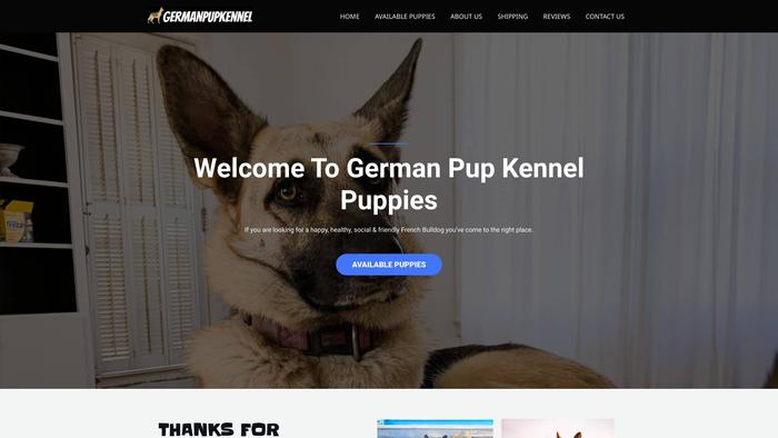 Germanpupkennel.com - Germanshepherd Puppy Scam Review