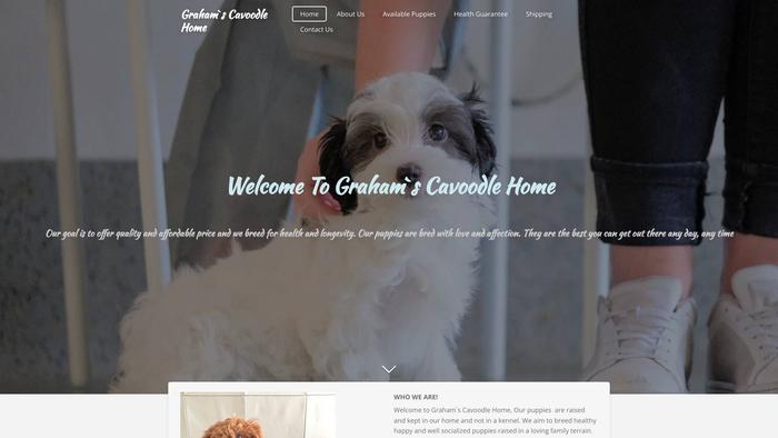 Ghmcavoodles.com - Cavapoo Puppy Scam Review