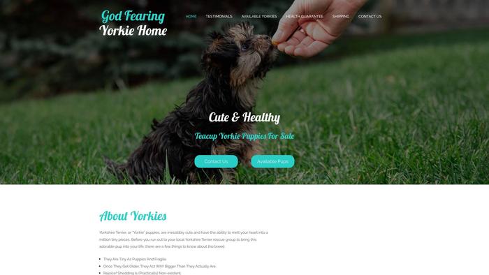 Godfearingyorkiehome.com - Yorkshire Terrier Puppy Scam Review