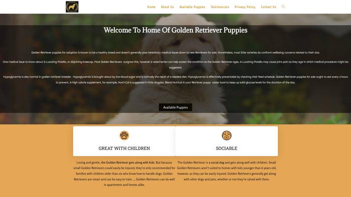 Goldenretrieverpuppiehome.com - Golden Retriever Puppy Scam Review