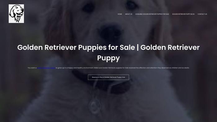 Goldenretrieverpuppyz.com - Golden Retriever Puppy Scam Review