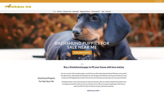 Goldstonepaw.com - Dachshund Puppy Scam Review